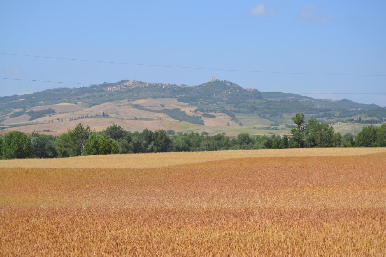 Valdorcia Belvedere B&B Pienza Esterno foto